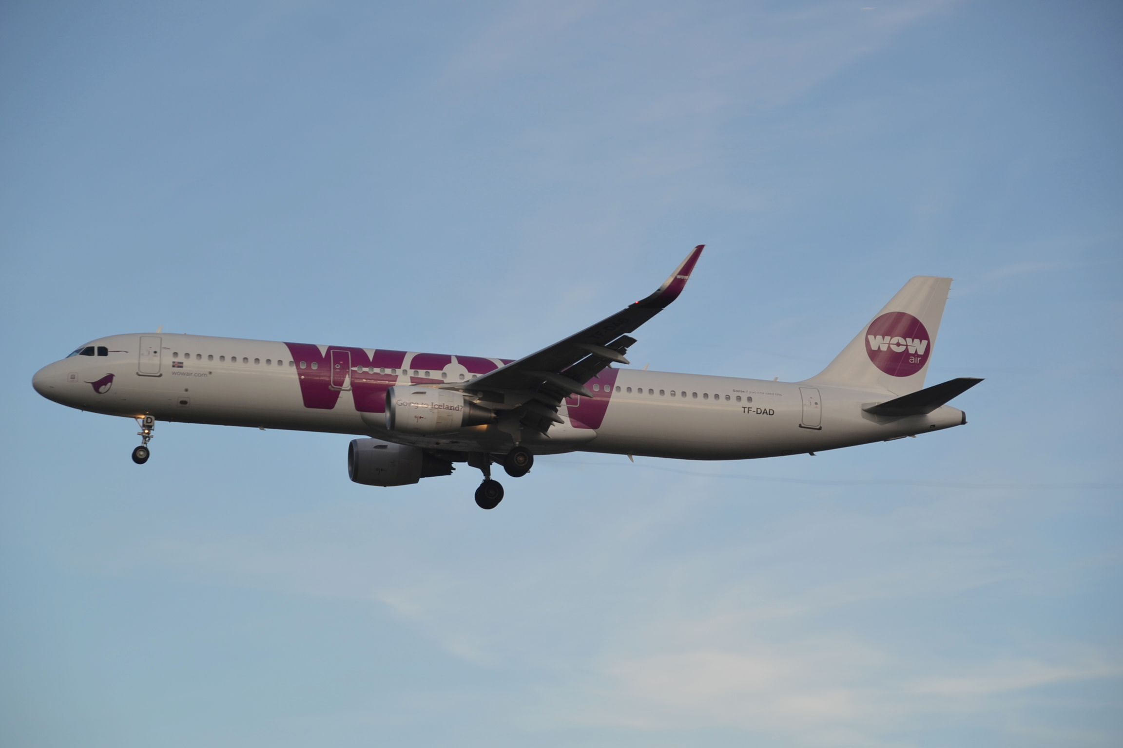 TF-DAD_(24261901146)